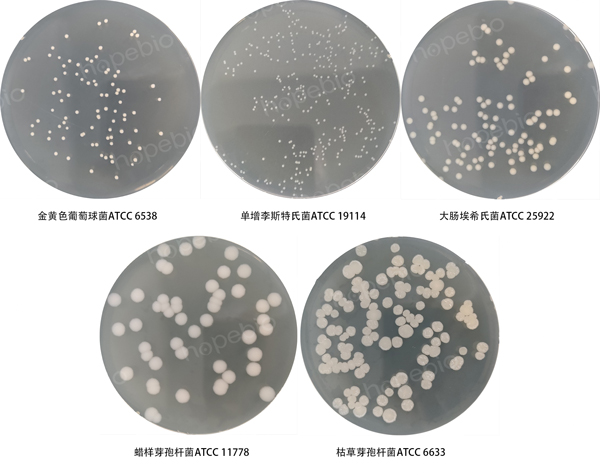 牛肉膏蛋白腖瓊脂培養基的微生物質控結果