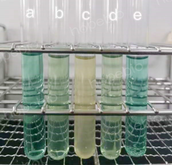 a為空白管，b為大腸埃希氏菌ATCC25922，c為鼠傷寒沙門氏菌ATCC14028，d為鼠傷寒沙門氏菌CMCC50115，e為金黃色葡萄球菌ATCC6538