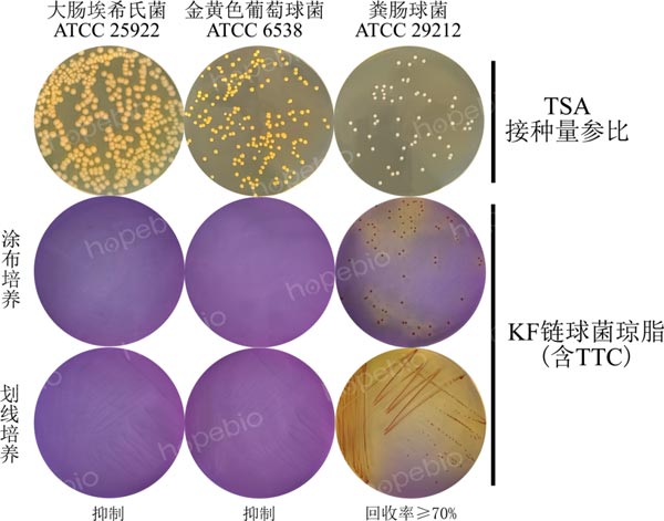 KF鏈球菌瓊脂（含TTC）的微生物質控結果