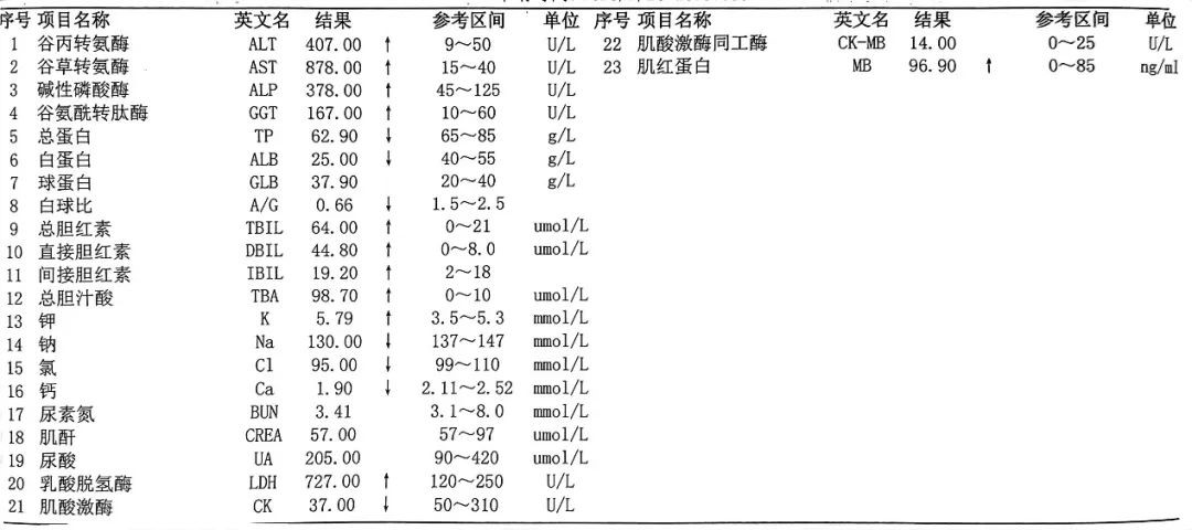 實驗室主要檢查