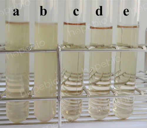 氯化鈉結晶紫增菌液微生物質控結果