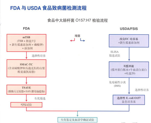 FDA與USDA食品致病菌檢測流程中食品中大腸杆菌的檢測流程.jpg