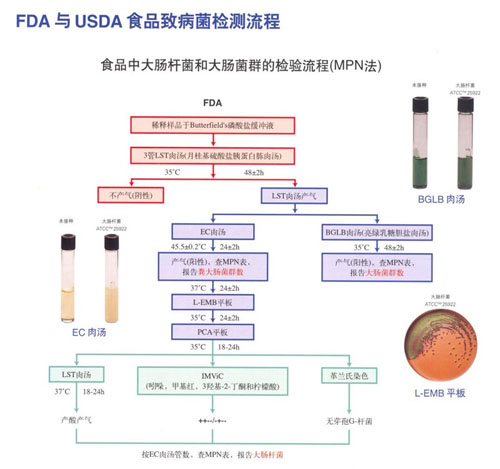 FDA與USDA食品致病菌檢測流程中食品中大腸杆菌和大腸菌群的檢測流程