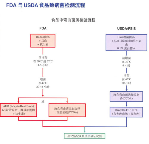 FDA與USDA食品致病菌檢測流程中食品中彎曲菌屬檢測流程