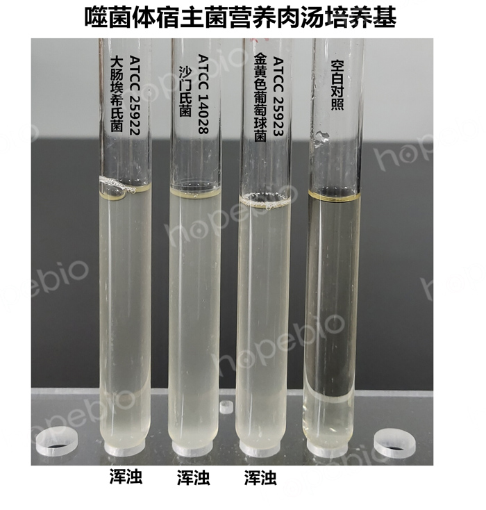 質控菌株在噬菌體宿主菌營養肉湯培養基中的生長情況