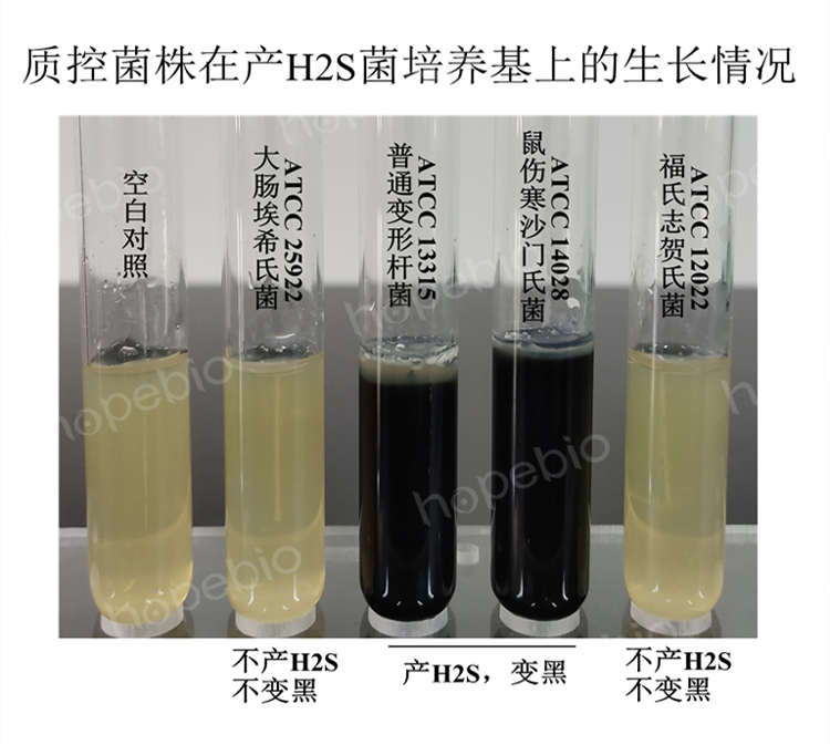 質控菌株在產H2S菌培養基上的生長情況