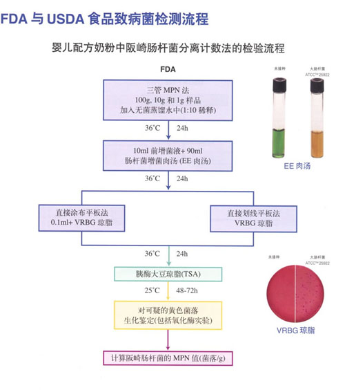 嬰兒配方奶粉中阪崎腸杆菌分離計數法的檢測流程/