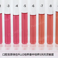 口腔支原體——pplo肉湯/